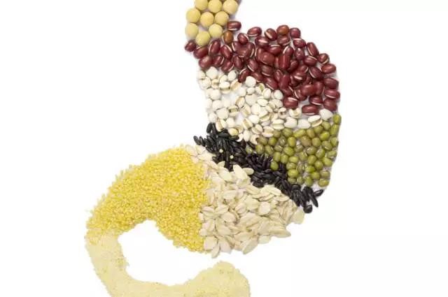 長(zhǎng)夏養(yǎng)生，吃出好“ 胃”口！